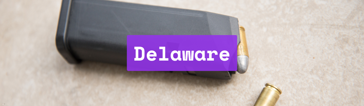Delaware Magazine Capacity Limits